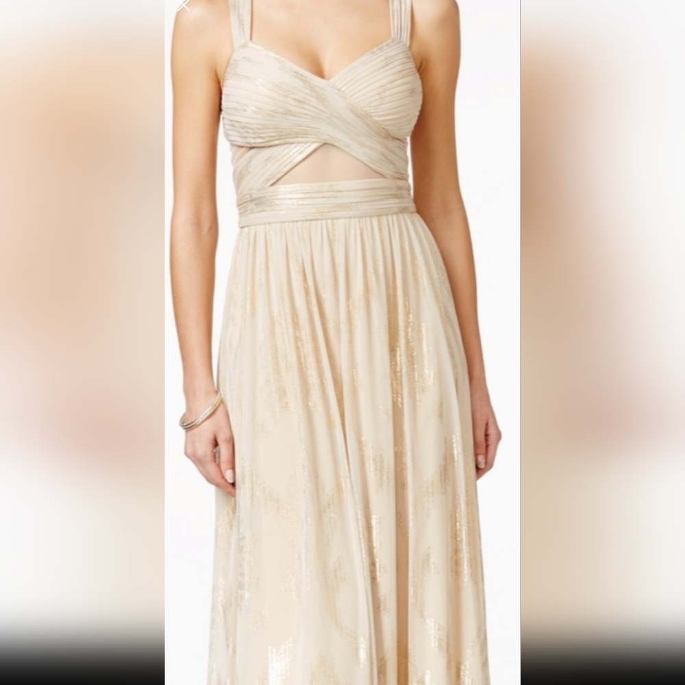 Betsy & Adam Crisscross Metallic Chiffon Gown